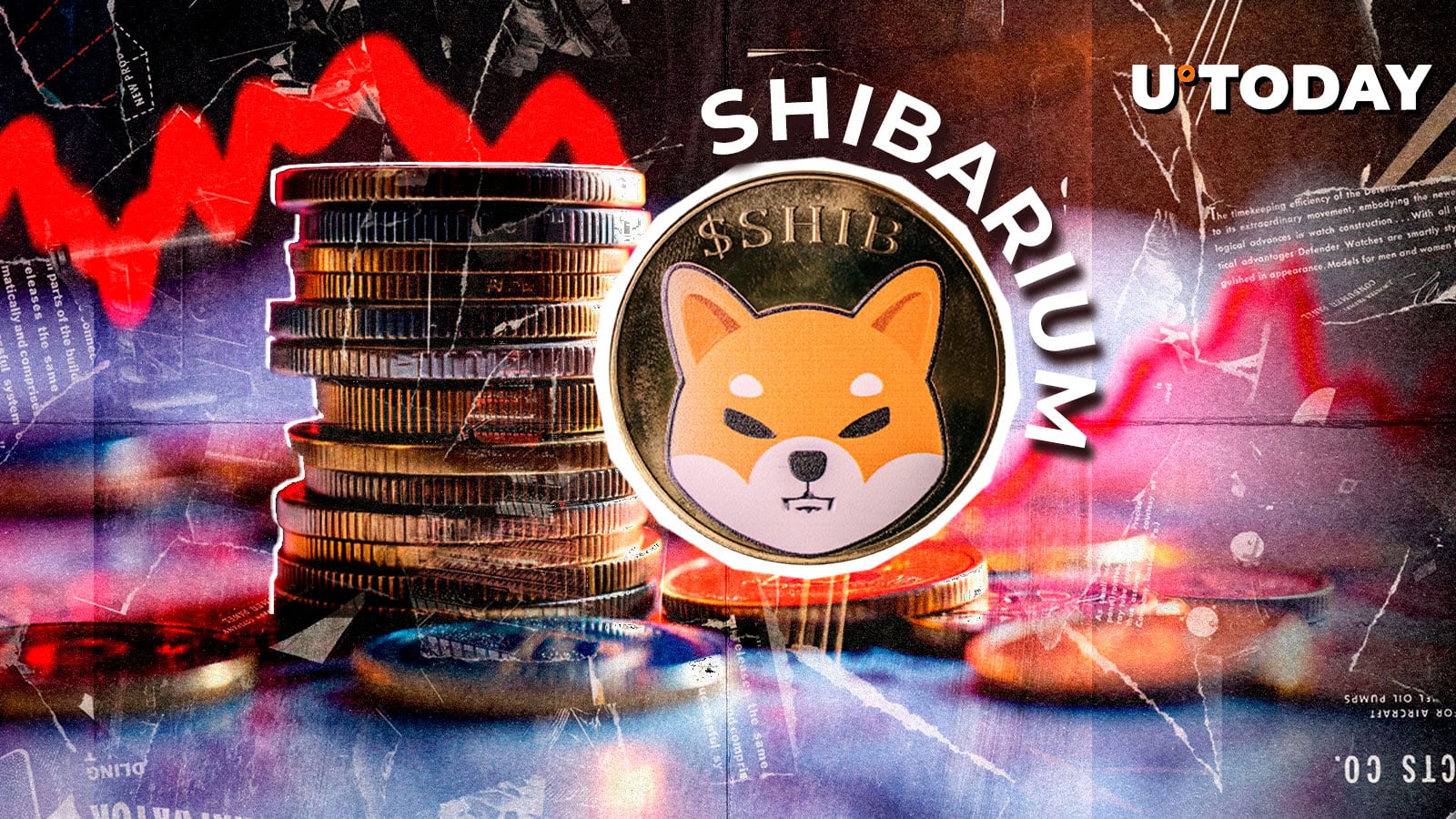 L'activité de Shibarium plonge de 75% : quel impact sur l'écosystème Shiba Inu ?