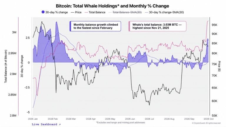Le retour massif des whales Bitcoin : un mystérieux acheteur débourse 97 millions de dollars