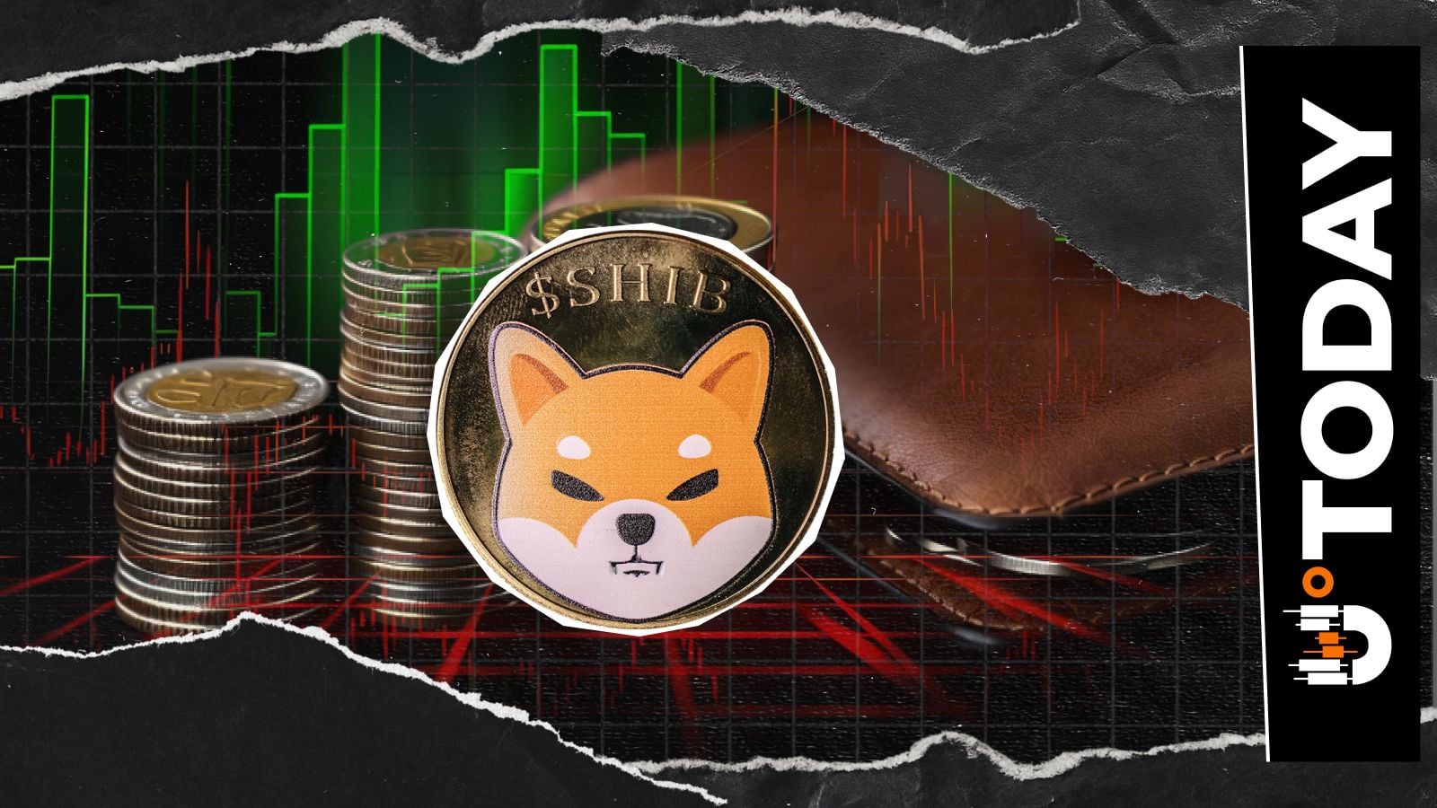 Shiba Inu frôle les 1,6 million de détenteurs avec 1 633 nouvelles adresses en juillet
